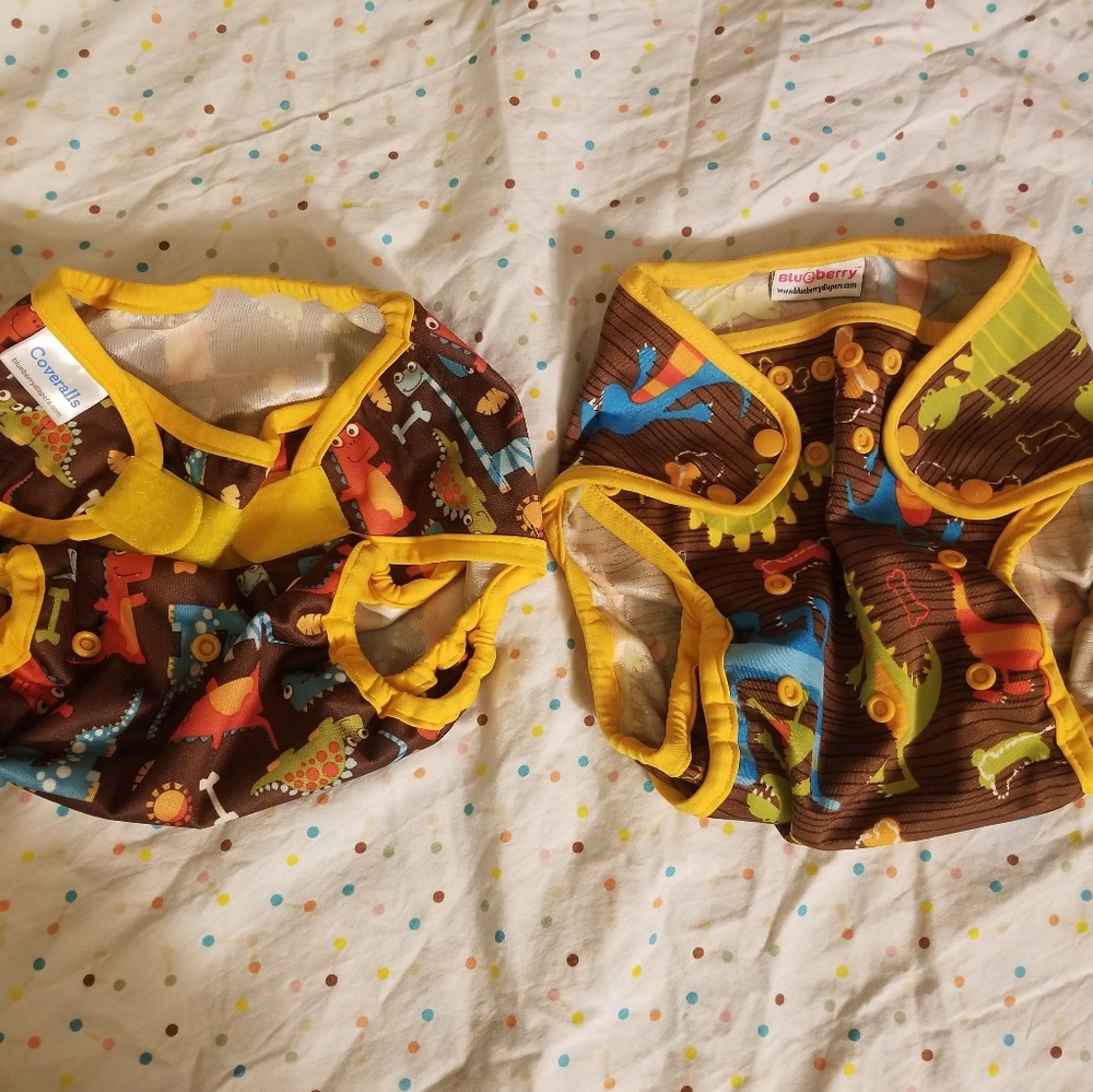 Lot of 2 Blueberry Diaper Covers (one snap, one hook and loop) Dinosaurs! 🦖